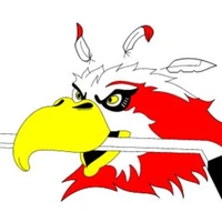 EURO-CAN Hockey School