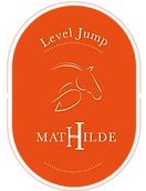 level jump