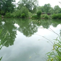 Hamstall Fishery