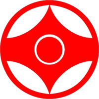 Karate Kyokushinkai
