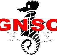 Gravesend and Northfleet Swimming Club