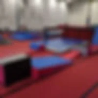 Laws of Motion - Trampoline - Tumbling - Parkour