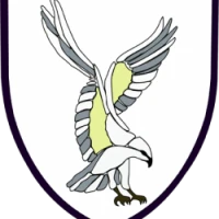Swansea Rugby Football Club