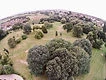 Monkton Park Golf Course & The Tenth Hole Tea Room