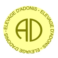 Les Ecuries D'adonis