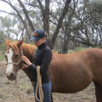 EQUINE POSITIONAL RELEASE INSTITUTE