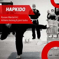 Hiltz Hapkido
