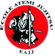 Jujitsu Ryu Metzervisse