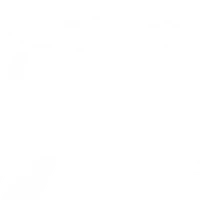 Mississauga Majors