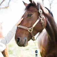 Spring Valley Stable