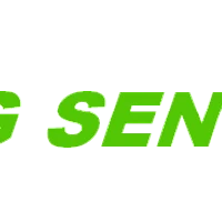 Hong Seng Sports Surfaces Pte. Ltd.