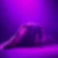 Layla Hassam Bellydance