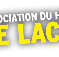 Association Hockey Mineur Lachenaie