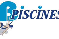 B Piscines