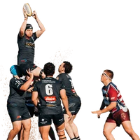 Maitland Blacks Rugby Club