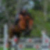 Mangere Pony Club