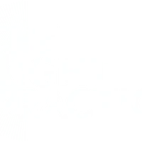 The light practice