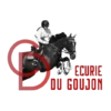 ECURIE DU GOUJON - Poneys et chevaux de Sport