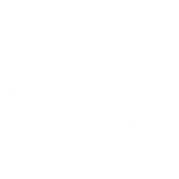Original Movement
