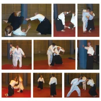 Aikido Lanaudire