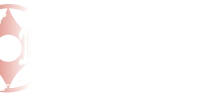 Budo Kyokushinkai Karate Club