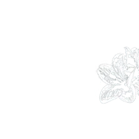 Camping Saint Laurent