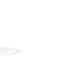 Libert Light Dance, School of Dance Inc.