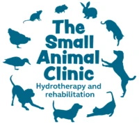 The Small Animal Clinic Canine Hydrotherapy and Animal Massage