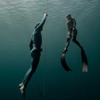 FreediveFNQ