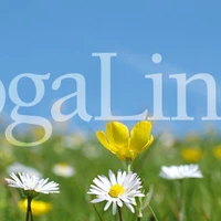 Yogalinda