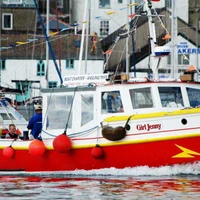 Falmouth Fishing Trips