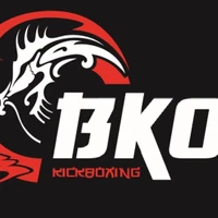 Basingstoke Kickboxing Organisation