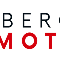 Bergin Motion