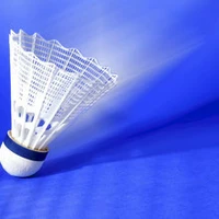 Badminton Club Parodien