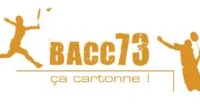 Badminton Albertville Ca Cartonne - BACC73