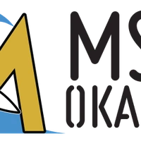 Msurf Okanagan - Wakesurf Lessons