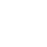 VPunch Gym