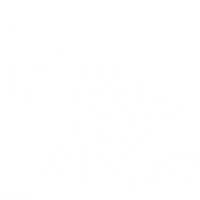 The Dance Workshop