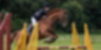 Amport Riding School