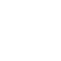 Can Dance Academy