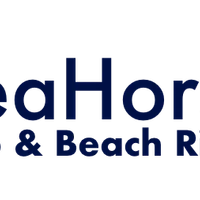 Seahorse Polo and Beach Rides