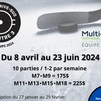 Association du Hockey Mineur des Sieurs de Longueuil