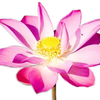 Ananda Sangha Bangalore- Kriya Yoga Meditation Centre