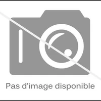 Claquettes Swing Dance Rythme Et Mouvement