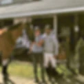 Le Camp Ecole D'Equitation La Licorne
