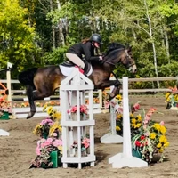 Mystic Meadows Equine Centre