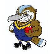 Sebastopol Football Netball Club