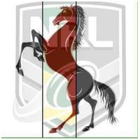 Central Burnett Brumbies JRLFC (South Burnett Rugby League Inc.)