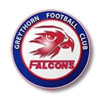 Balwyn North - Greythorn Falcons Auskick