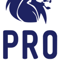 Pro Eleven Football Academy